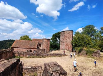 Tour Wandern Heinrichsdorf - lutzbourg - Photo