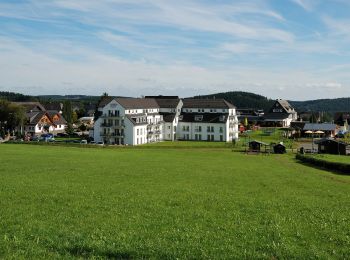 Percorso A piedi Winterberg - Winterberg Rundweg W8 Kappe-Silbecke-Weg - Photo