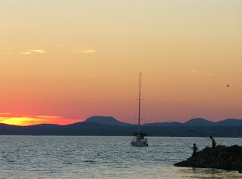 Tocht Te voet Gyugy - S (Balatonlelle - Gyugy) - Photo