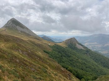 Tocht Stappen Laveissière - Font de cere puy griou  - Photo