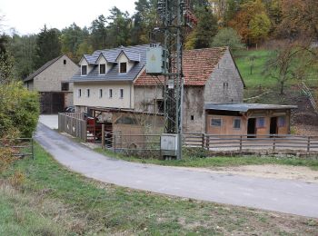 Excursión A pie Breitbrunn - Lauftour BRB2 - Photo