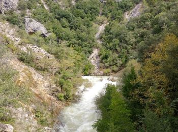 Randonnée Marche Saint-Cézaire-sur-Siagne - la Siagne par les escaliers - Photo