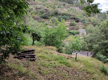 Excursión Senderismo Cans et Cévennes - Calberte  - Photo