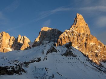 Tocht Te voet Primiero San Martino di Castrozza - Sentiero dei Finanzieri - Photo