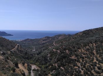 Tour Wandern - Myrthios-Sellia - Photo