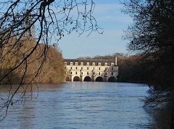 Randonnée Marche Francueil - Chenonceaux - GR41 Francueil - 12.7km 160m 2h45 - 2022 01 01 - Photo