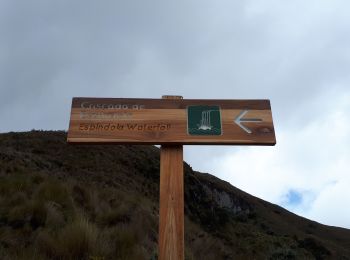 Trail Horseback riding Juncal - Cabalgata Culebrillas - Photo