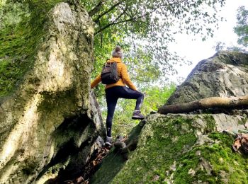Tour Wandern Incourt - La promenade des grosses pierres ( 4,9km ) - Photo