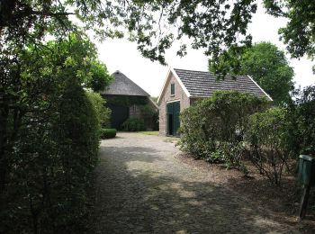 Tour Zu Fuß Lochem - Gorsselse Heide route - Photo