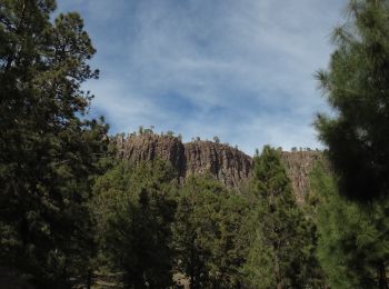 Tour Zu Fuß La Orotava - S-31 Cumbres de Ucanca - Photo