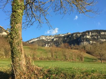 Tour Wandern La Sure en Chartreuse - Au départ du col de la placette - Photo