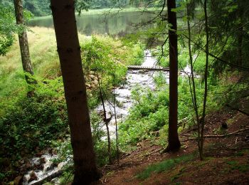 Excursión A pie Slavonice - NS Pohádkovým lesem - Photo