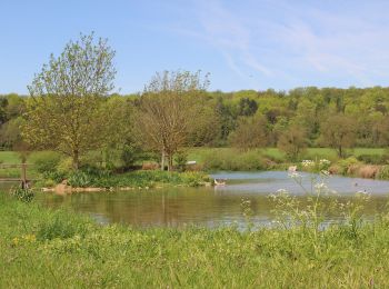 Tocht Te voet Foug - Circuit de Grammont - Photo