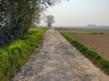 Trail Walking Précy-sur-Oise - randonnée de precy au bois st Michel - Photo