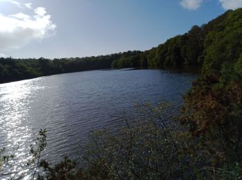 Trail Walking Concarneau - CONCARNEAU - Photo