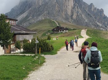 Percorso Marcia San Vito di Cadore - cinq tours 569m 10.34km - Photo