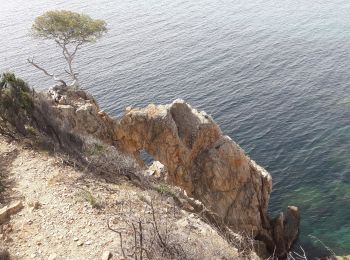 Trail Walking La Londe-les-Maures - La l'onde les maures Normes les MIMOSAS littoral  - Photo