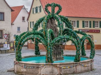 Percorso A piedi Thurnau - Thurnau Rundweg Blauer Ring - Photo