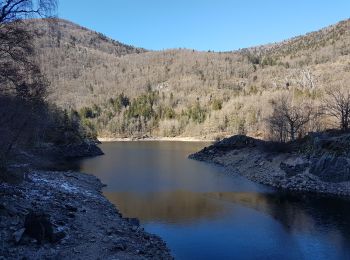 Randonnée Marche Sewen - Lac d'Alfed et sa cascade - tour au pied du Ballon d'Alsace - Photo