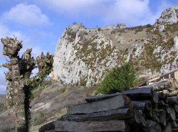 Trail On foot Roquefixade - Randonnée à Roquefixade - Photo