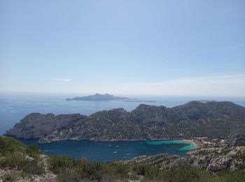 Trail Walking Marseille - Sugiton et Sormiou 7.5.22 - Photo