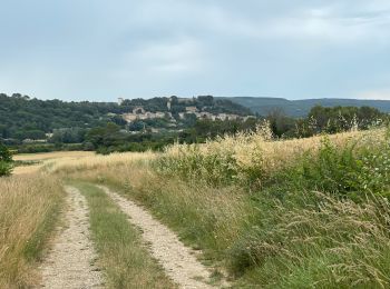 Tour Mountainbike Arpaillargues-et-Aureillac - 20210628 Arpaillargues Saint Quentin Saint Siffret - Photo