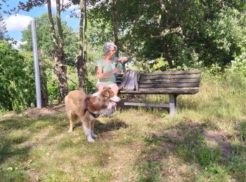 Trail On foot Herbeumont - SityTrail - Détails : Herbeumont - Les Fourches - HE07  - Photo