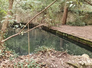 Excursión Senderismo Simiane-Collongue - Le chemin de Gui , la carrière  de Peycai - Photo