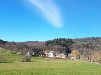 Tocht Stappen Eguisheim - marbach osenburh schauenberg marbach - Photo