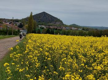 Tocht Stappen Châtelet - Marche éphémères Ecureuil - Photo