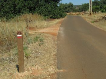 Percorso A piedi Alte - Esteval dos Mouros - Photo