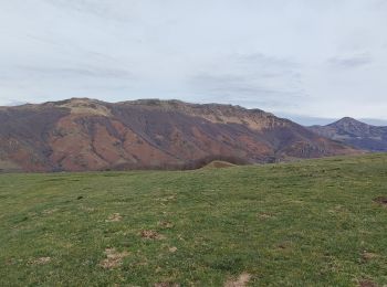 Tocht Stappen Mandailles-Saint-Julien - le courpou sauvage  - Photo