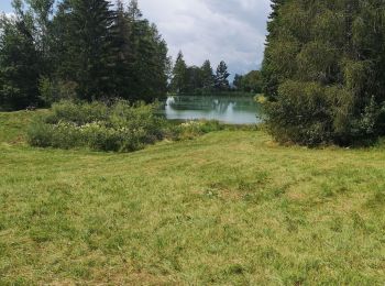 Tour Wandern Ayent - étang long - Photo