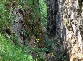 Tour Wandern Les Planches-en-Montagne - la languette  - Photo