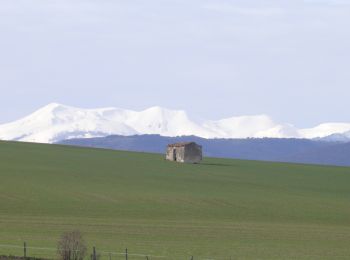 Randonnée Marche Sauvagnat-Sainte-Marthe - Sauvagnat-St-Marthe - Photo