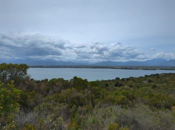 Randonnée Marche Aléria - diane - Photo