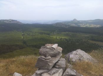 Excursión Senderismo Le Béage - suc du montfol et lauzière - Photo