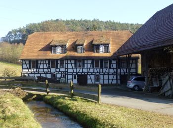 Tocht Te voet Mossautal - Rundwanderweg Ober-Mossau 4: Lärmfeuer-Weg - Photo