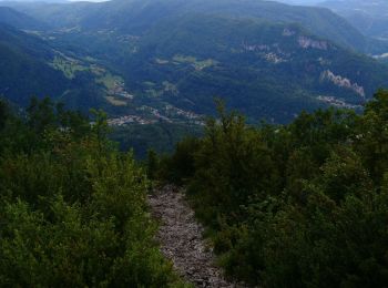 Tour Wandern Septmoncel les Molunes - sentier des Diots  - Photo