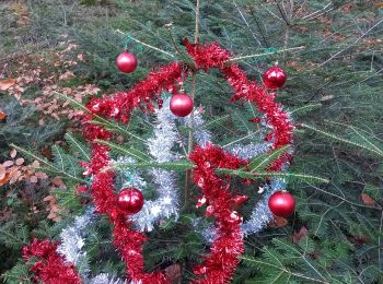 Tocht Stappen Arches - arches les sapins - Photo