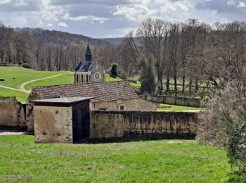 Trail Walking Magny-les-Hameaux - Port Royal - Photo