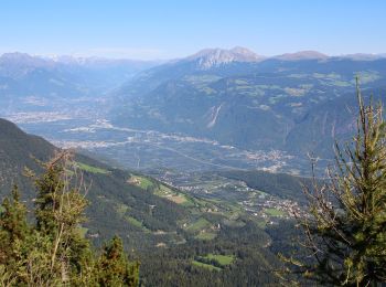 Trail On foot Tisens - Tesimo - Wanderweg 12 - Photo