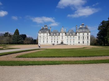 Tour Auto Cheverny - 190327Loire - Photo