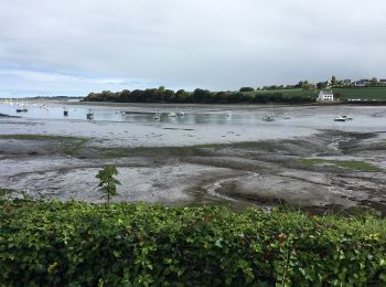 Excursión Carrera Roscoff - Roscoff-12092019 - Photo