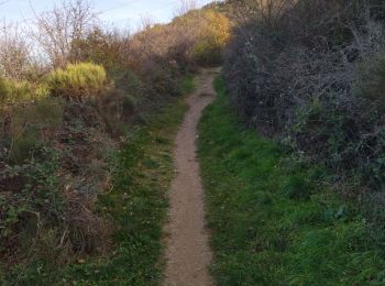 Tour Wandern Toulaud - 07 gorges embroye - Photo