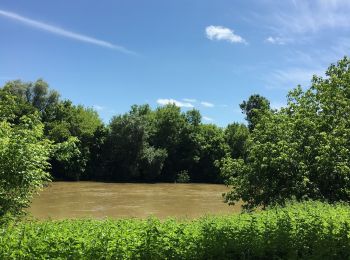 Tocht Stappen Mées - Circuit des Barthes Neuves Mées le 8juin 2019 - Photo