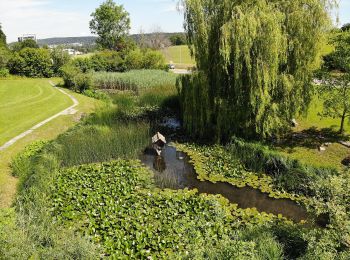Tour Zu Fuß Zumikon - Waltikon - Wehrmännerdenkmal - Photo