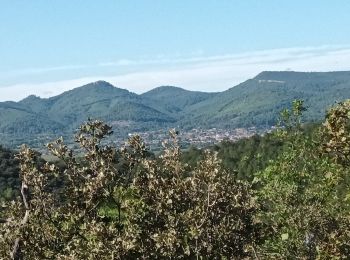 Excursión Senderismo Pierrefeu-du-Var - La Portanière (demi-journée) 27-10-23 - Photo