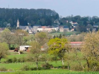 Randonnée Marche Belforêt-en-Perche - La Perrière - Mortagne-au-Perche (TCP) 29 km - Photo