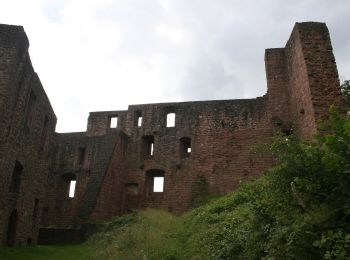 Excursión A pie Oberzent - Parkplatzrundwanderweg Burg Freienstein 3 - Photo